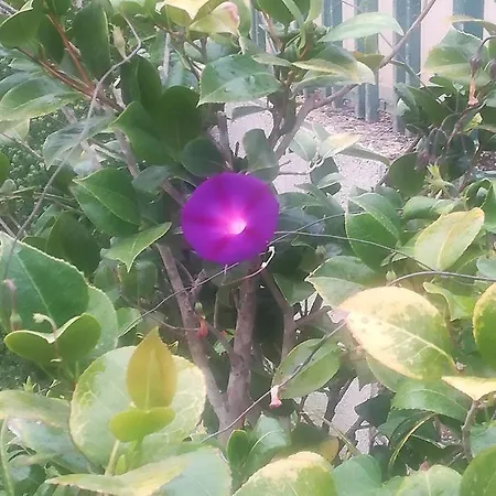 Country house Casa Das Argolas Macedo de Cavaleiros