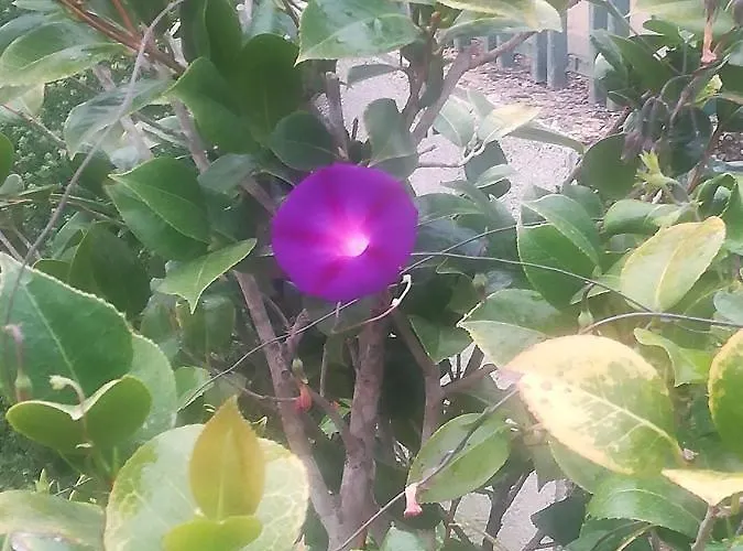 Gospodarstwo wiejskie Casa Argolas Macedo de Cavaleiros