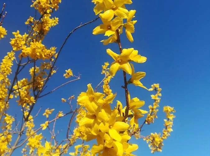 Casa Argolas 컨트리하우스 라세도데카발라이로스